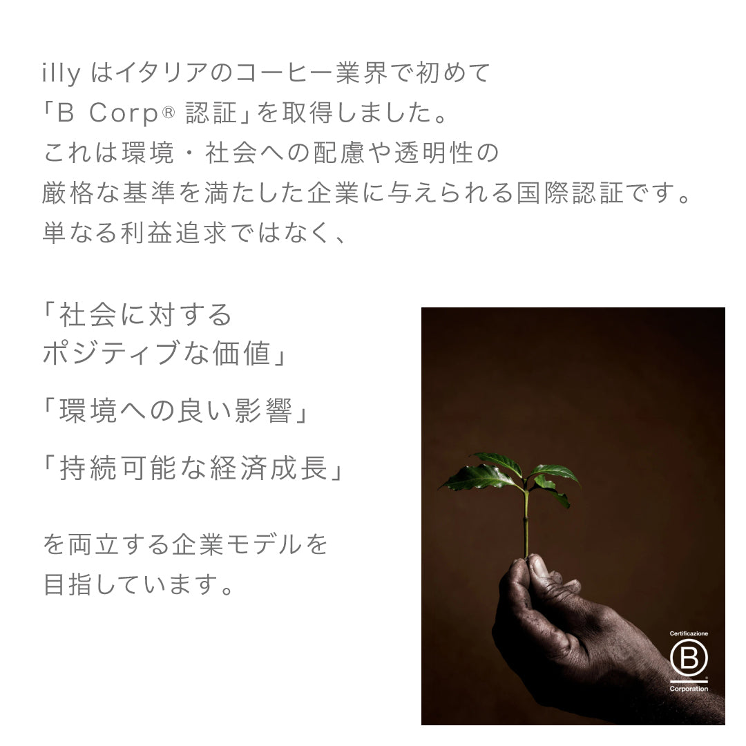 イリー エスプレッソカプセル ルンゴ